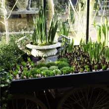 Images for Petersham Nurseries Richmond, Church Lane, Off Petersham Road, Richmond