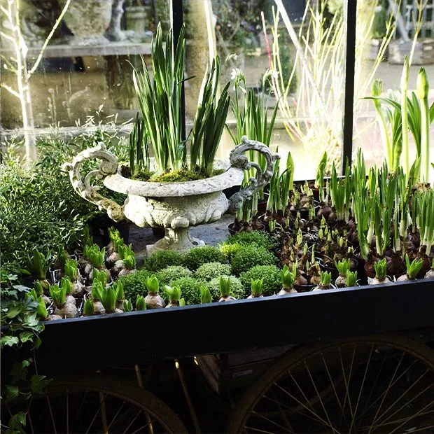 Images for Petersham Nurseries Richmond, Church Lane, Off Petersham Road, Richmond