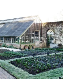 Images for Petersham Nurseries Richmond, Church Lane, Off Petersham Road, Richmond