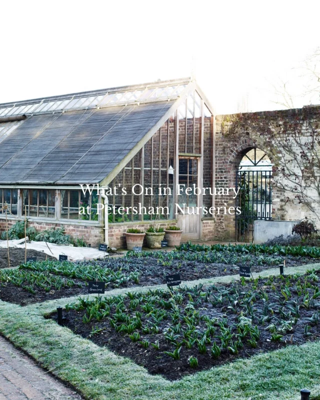 Images for Petersham Nurseries Richmond, Church Lane, Off Petersham Road, Richmond