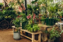 Images for Petersham Nurseries Richmond, Church Lane, Off Petersham Road, Richmond