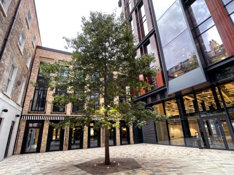 View Full Details for Sun Street Hotel, 5-15 Sun Street, Shoreditch